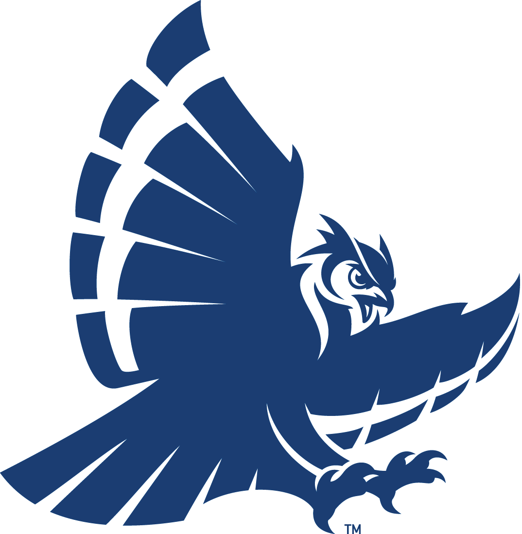 Rice Owls 2017-Pres Secondary Logo v2 iron on transfers for T-shirts